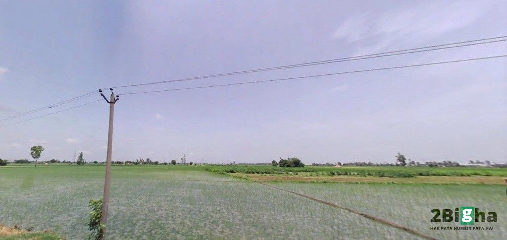 7Q8H+JRJ, Jalbera Rd, Majri, Haryana 133008, India