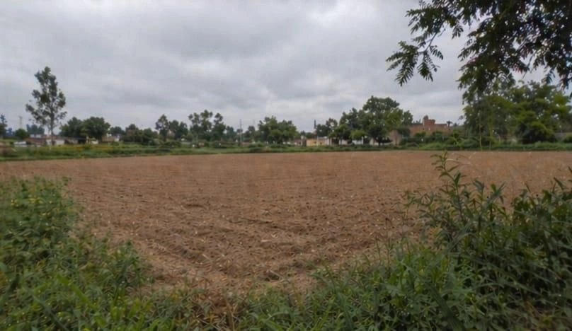 Barhana, Uttar Pradesh, India
