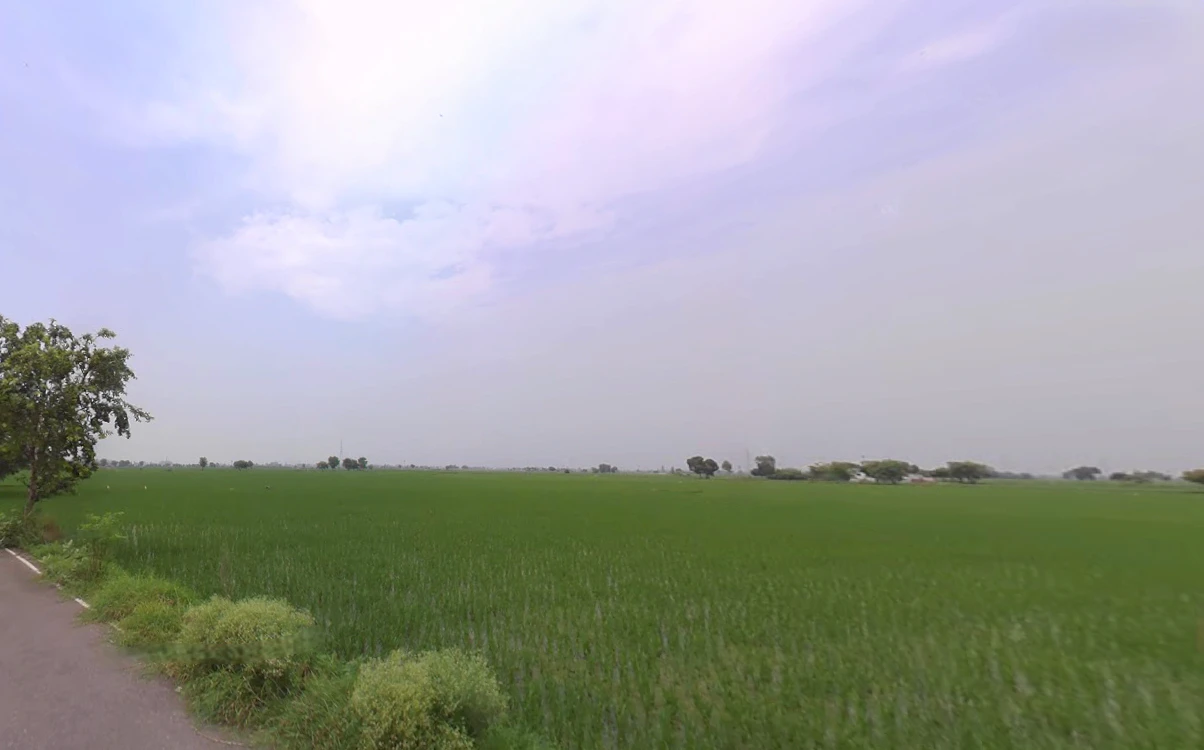 Madlauda, Haryana 132113, India