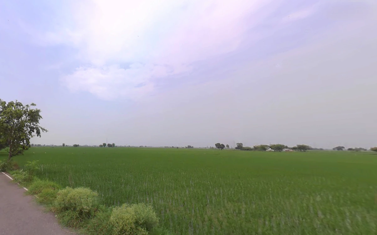 Madlauda, Haryana 132113, India