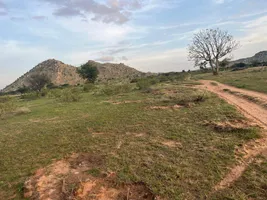 XX93+R8 Tangedukunta, Andhra Pradesh, India preview 3