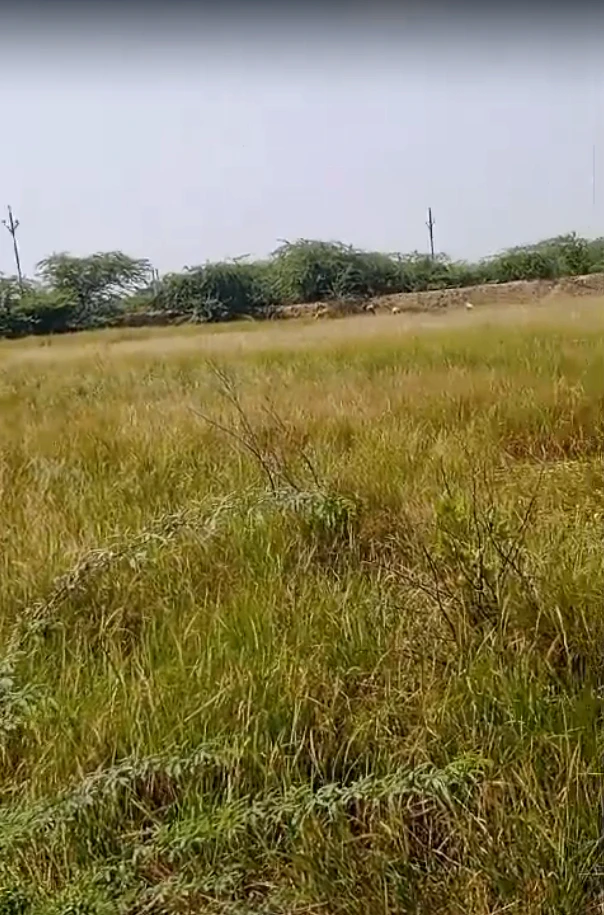 1340/1U, Niwai, Gunsi, Rajasthan 304021, India