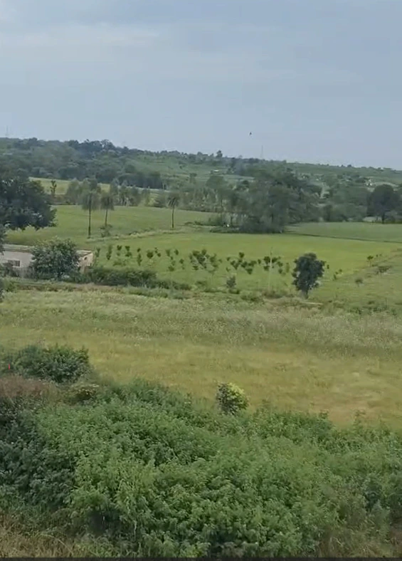 Nabipur, Dewas, Madhya Pradesh, India