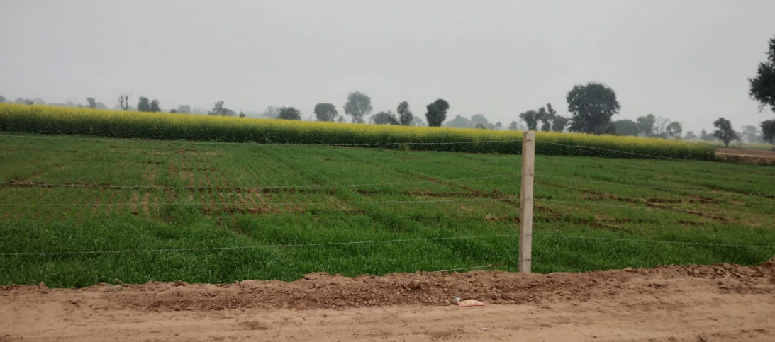 Bhadson Rd, Ranjit Nagar, Patiala, Punjab, India