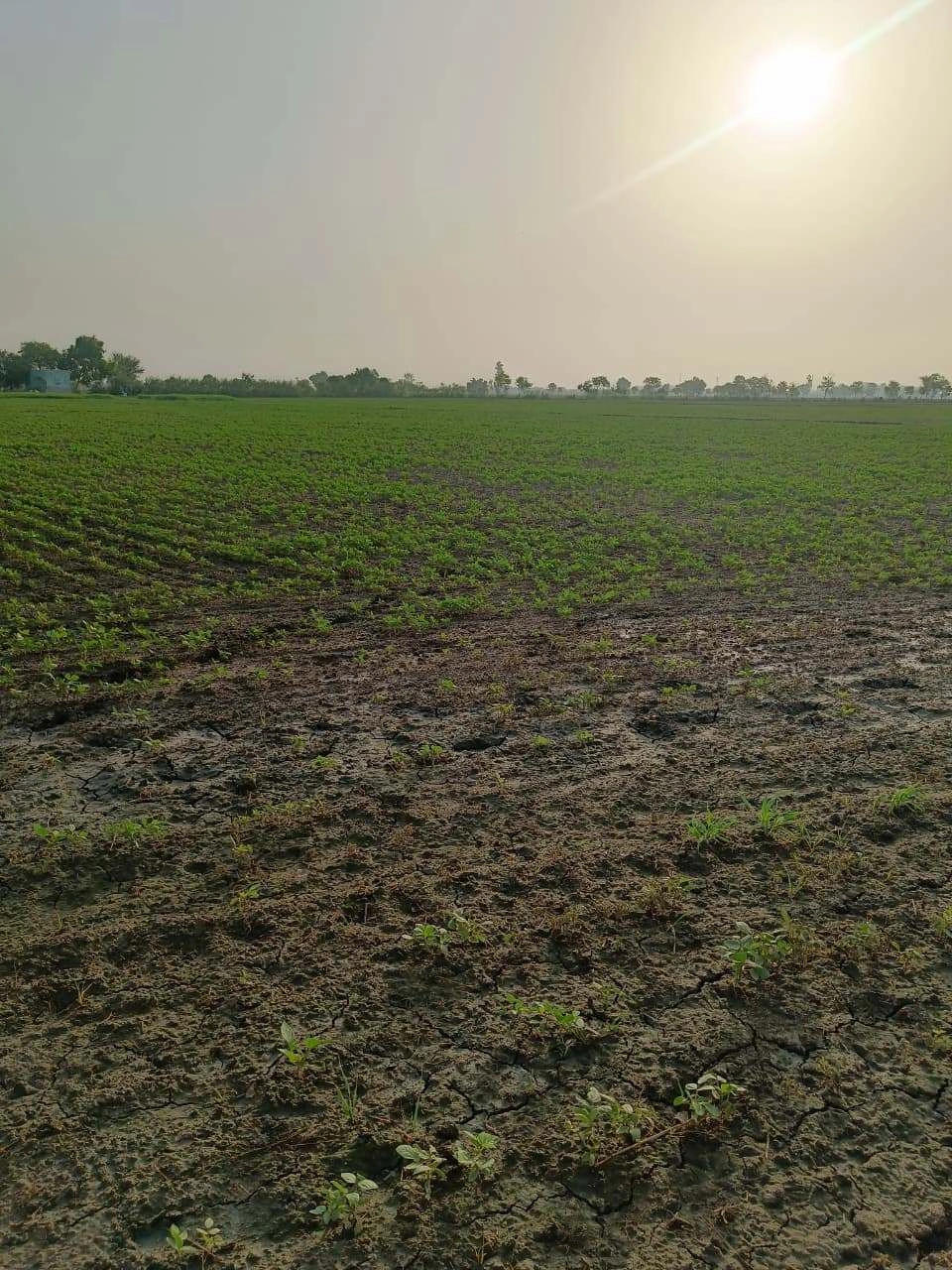 Tentigaon, Uttar Pradesh, India