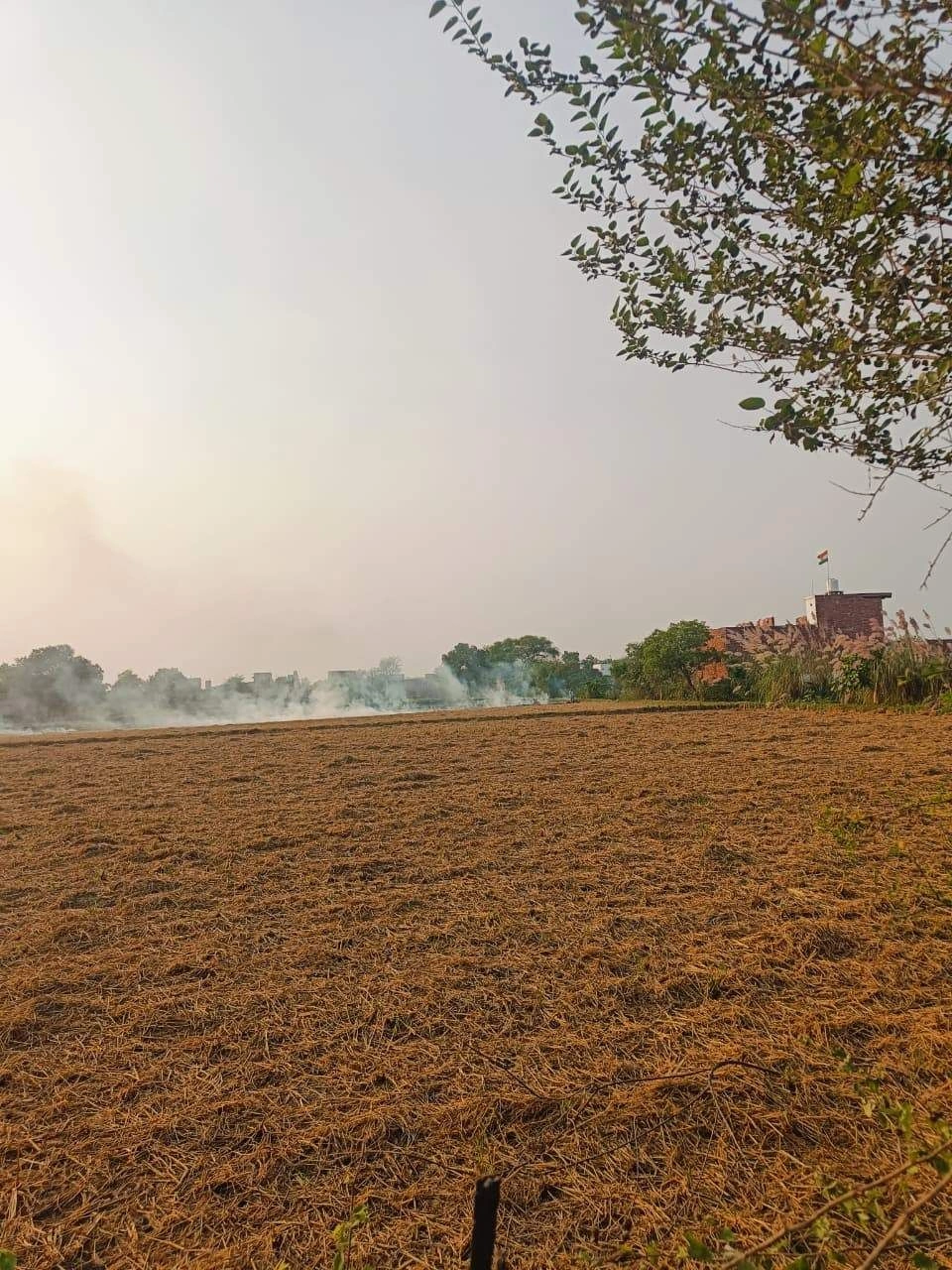 Borpa, Mathura, Uttar Pradesh, India - Photo 3