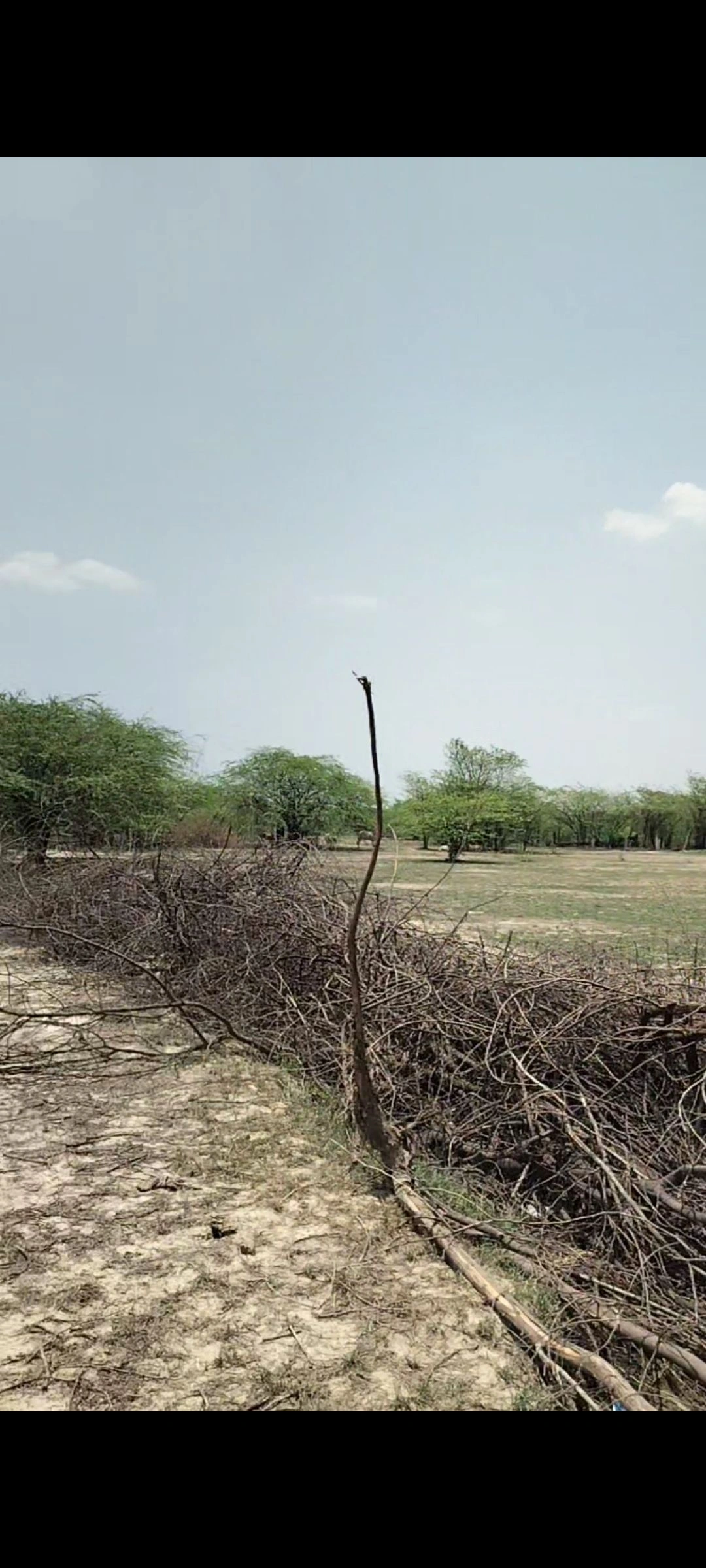 Sarsaul, Kanpur, Kanpur Nagar, Uttar Pradesh, India