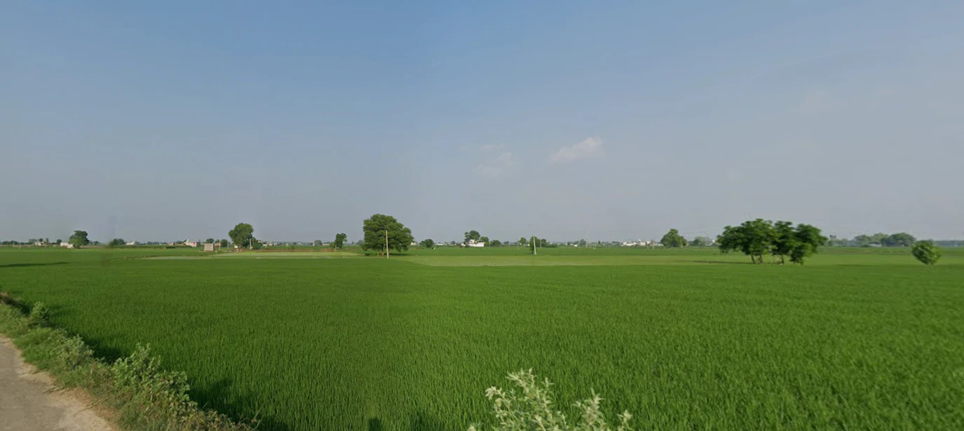 Kalwa, Punjab 147021, India