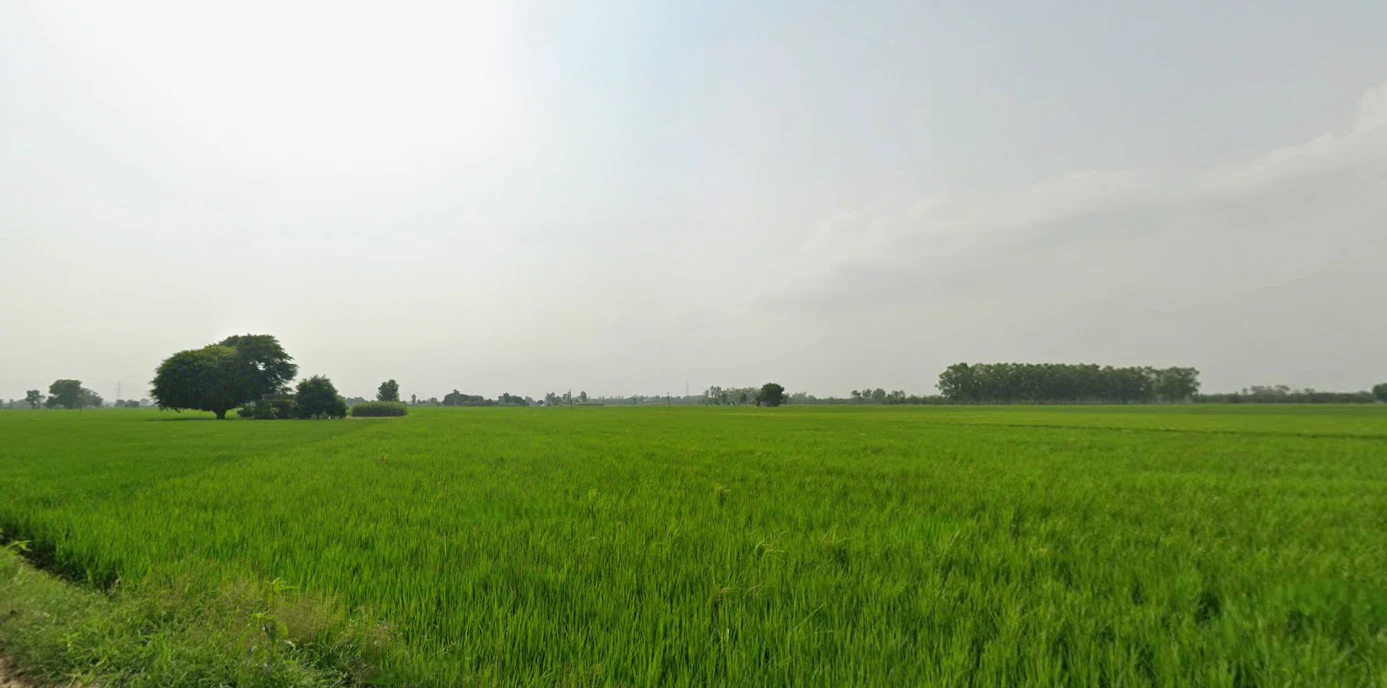 Amritsar, Punjab, India