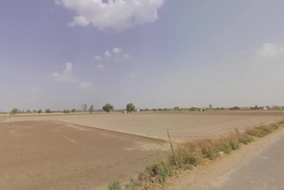 Bass, Haryana 125042, India