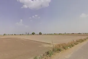 Bass, Haryana 125042, India preview 2