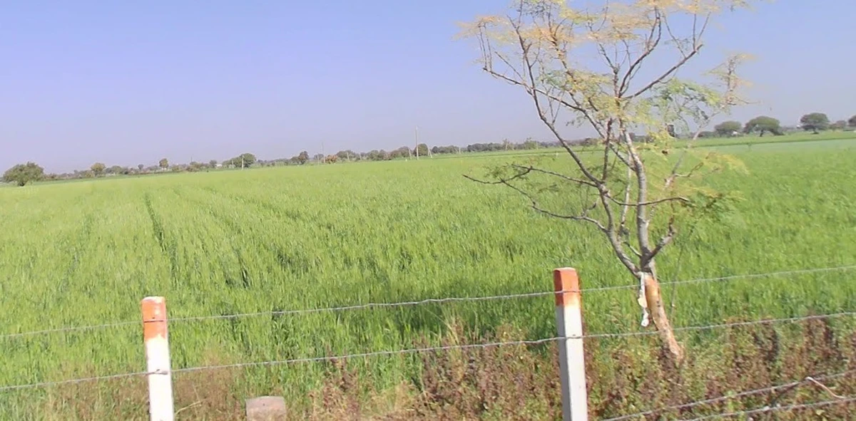 Karadiya, Madhya Pradesh 453001, India