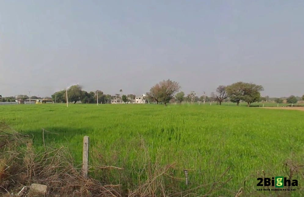Bindayaka, Jaipur, Rajasthan 302041, India
