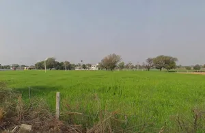 Bindayaka, Jaipur, Rajasthan 302041, India preview 2