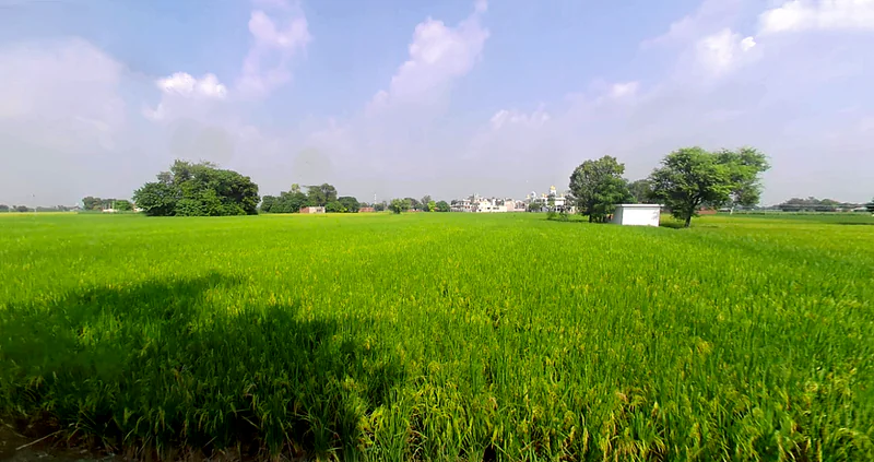 Dada Patti, Uttarakhand 247662, India preview 3