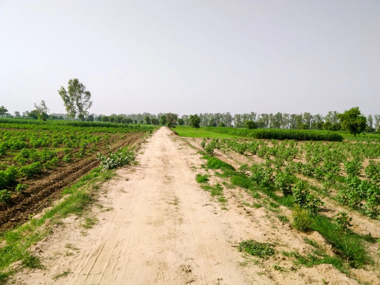 Morigaon, Assam, India