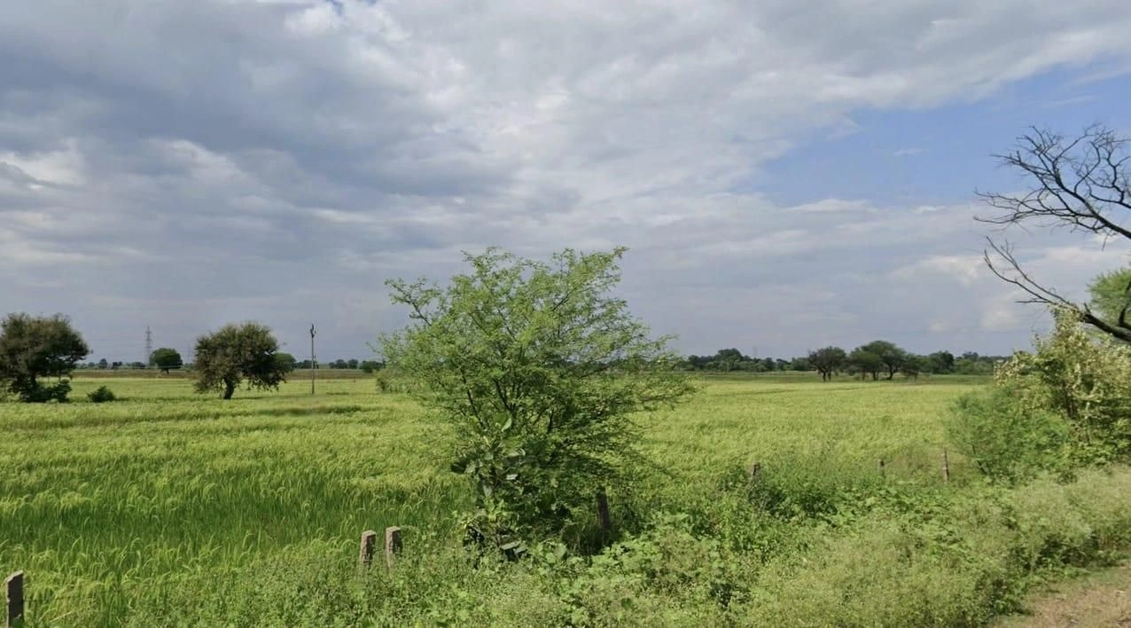 Rajoda, Madhya Pradesh 455001, India