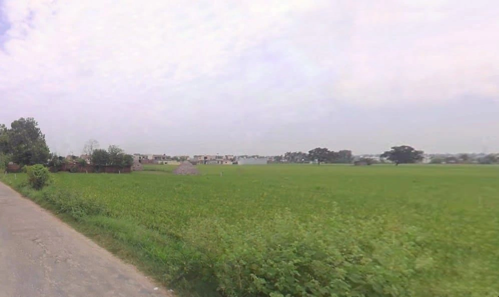 Thakar Pura, Haryana, India