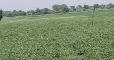 Durgapura, Dewas, Madhya Pradesh 455001, India preview 3