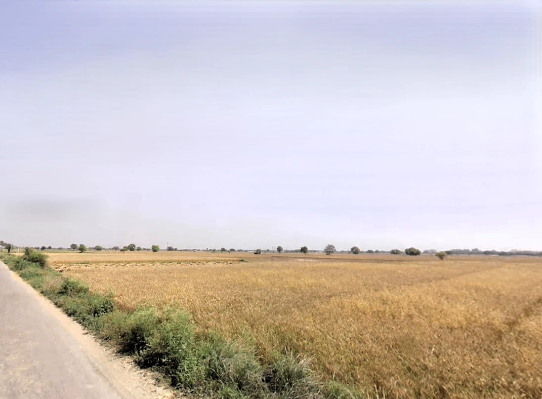 Majri, Haryana 124105, India