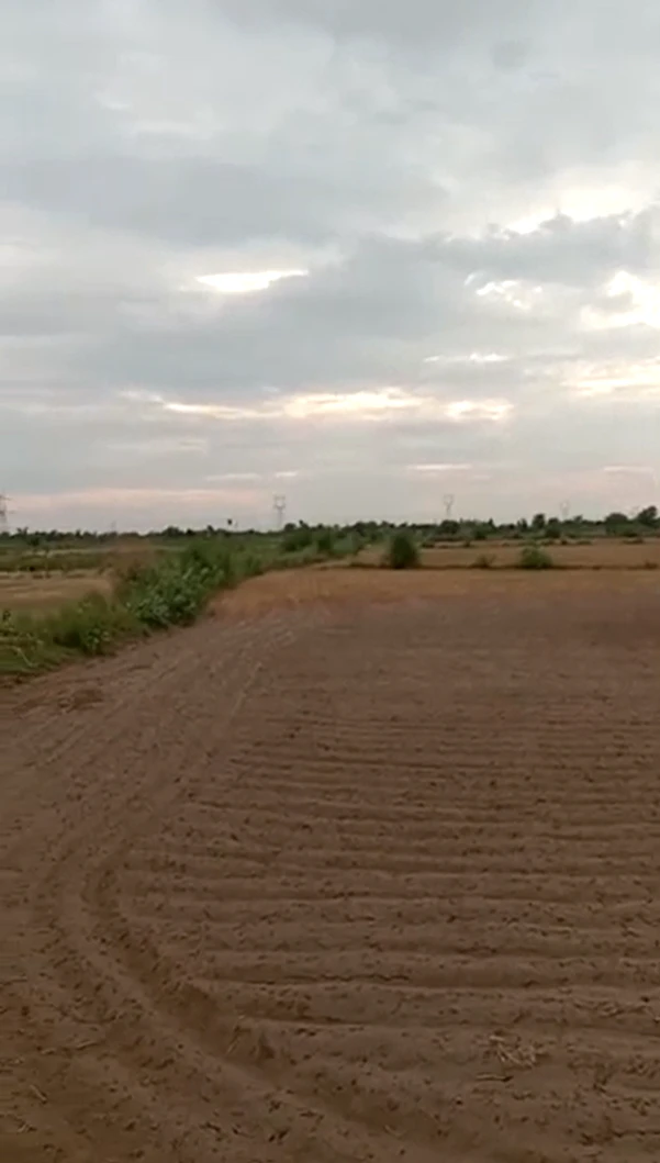 FQ47+H7W, Alwar, Bamboli, Rajasthan, India
