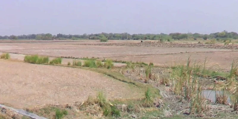 Shajapur, Madhya Pradesh 465001, India preview 3