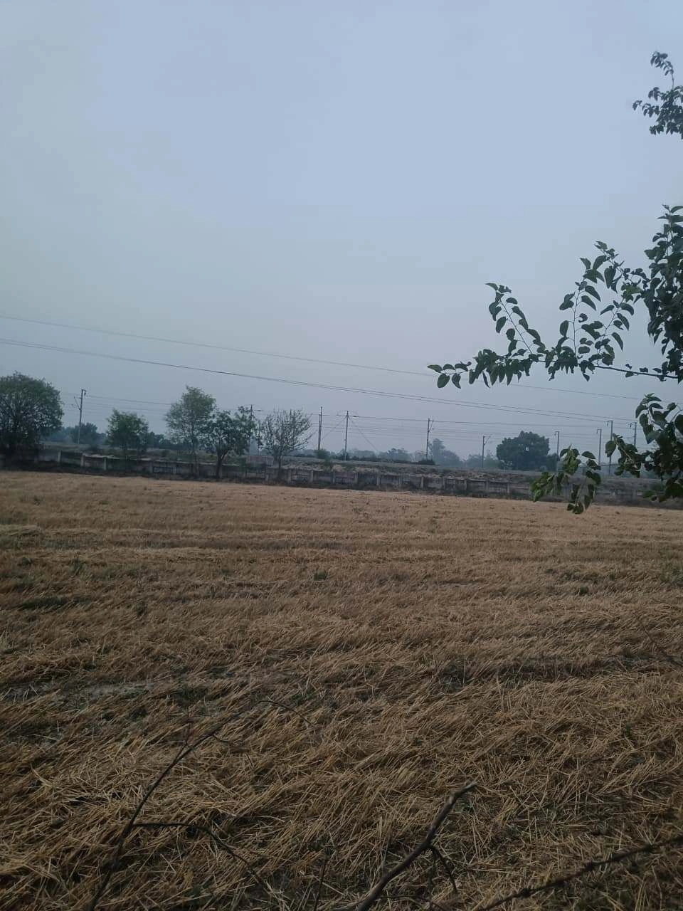 Barhana, Uttar Pradesh, India