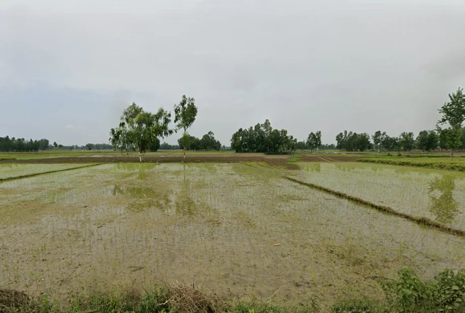 Dalpatpur, Uttar Pradesh 244104, India preview 3