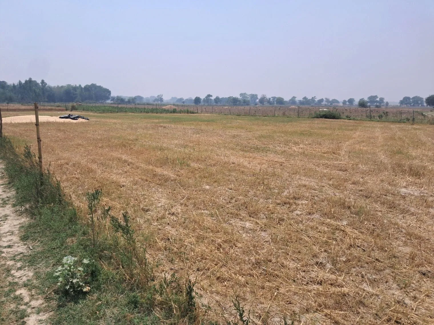 P68W+32 Samaha Kala, Uttar Pradesh, India