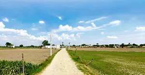 Bareli, Madhya Pradesh, India preview 3