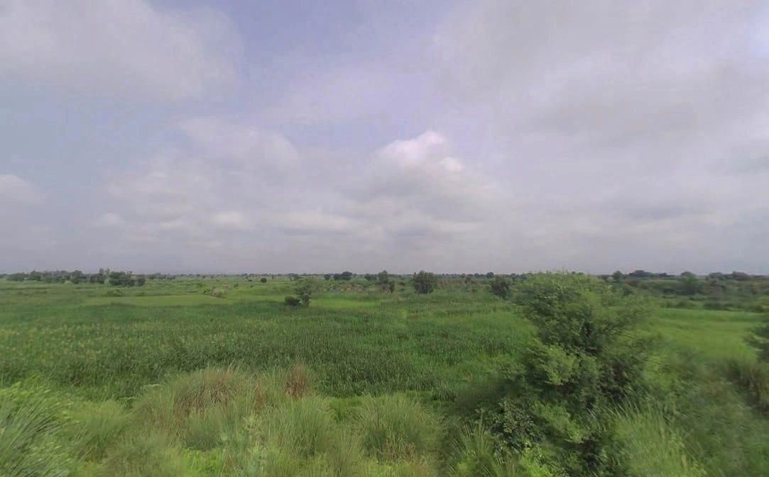 Amoli, Rajasthan 321407, India