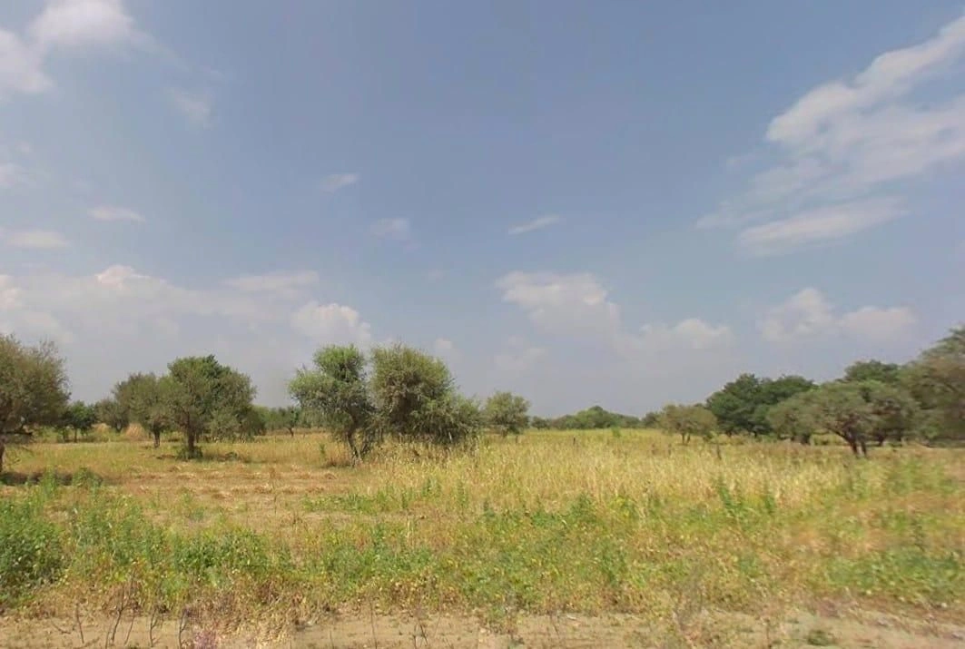 Kochhor, Rajasthan 332406, India