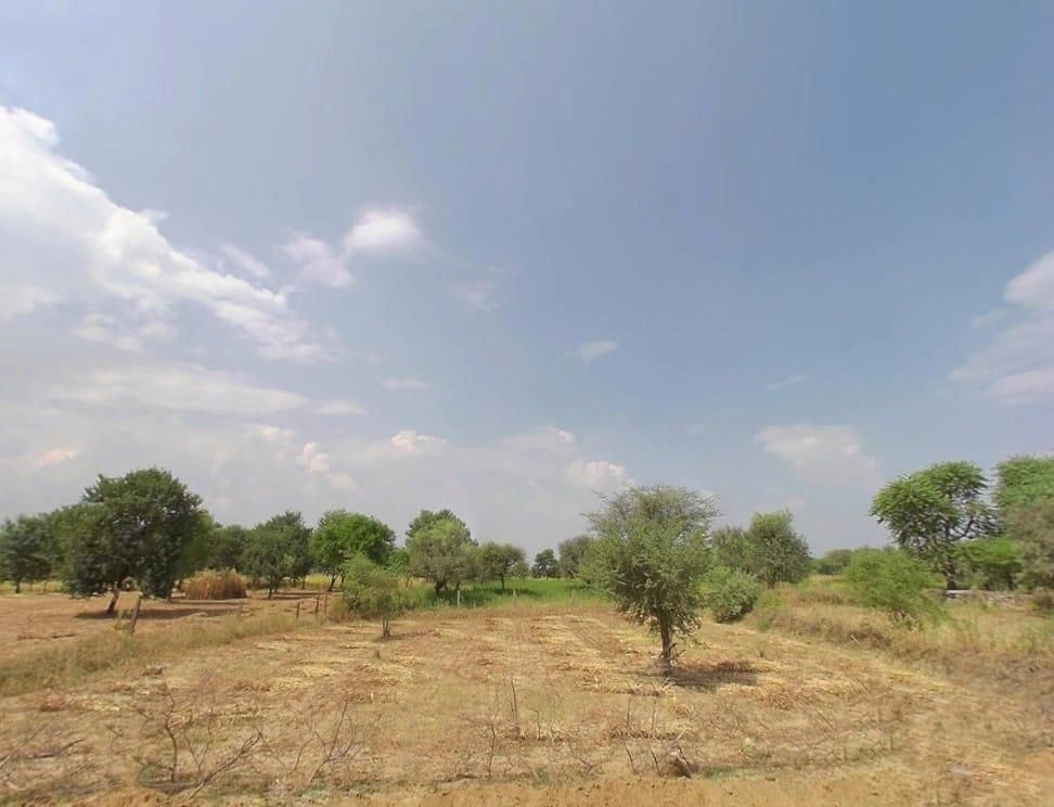 Kochhor, Rajasthan 332406, India