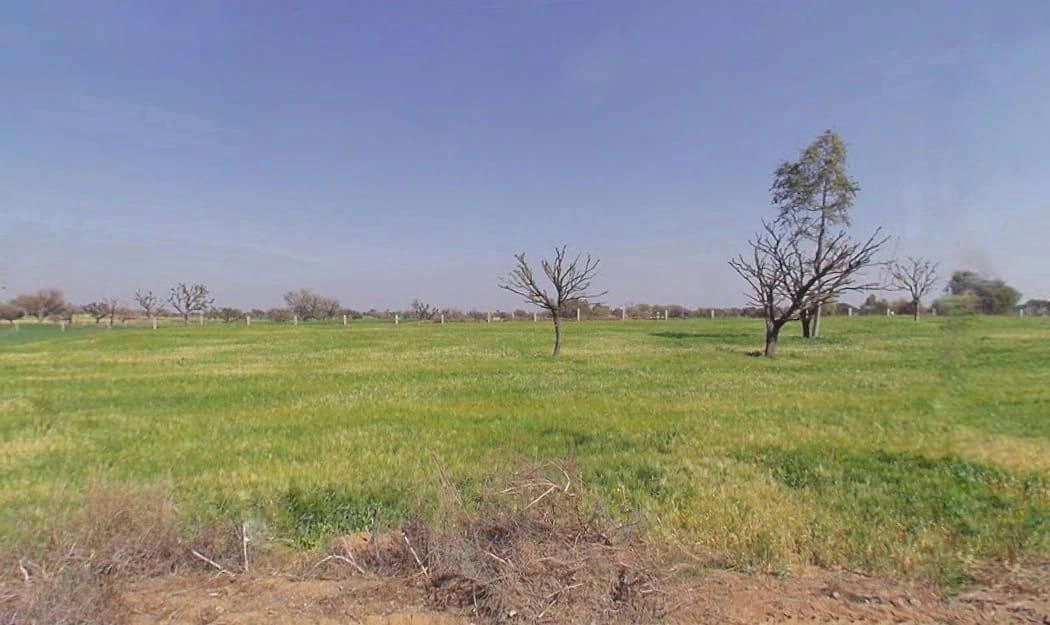 Aloda, Rajasthan 332602, India