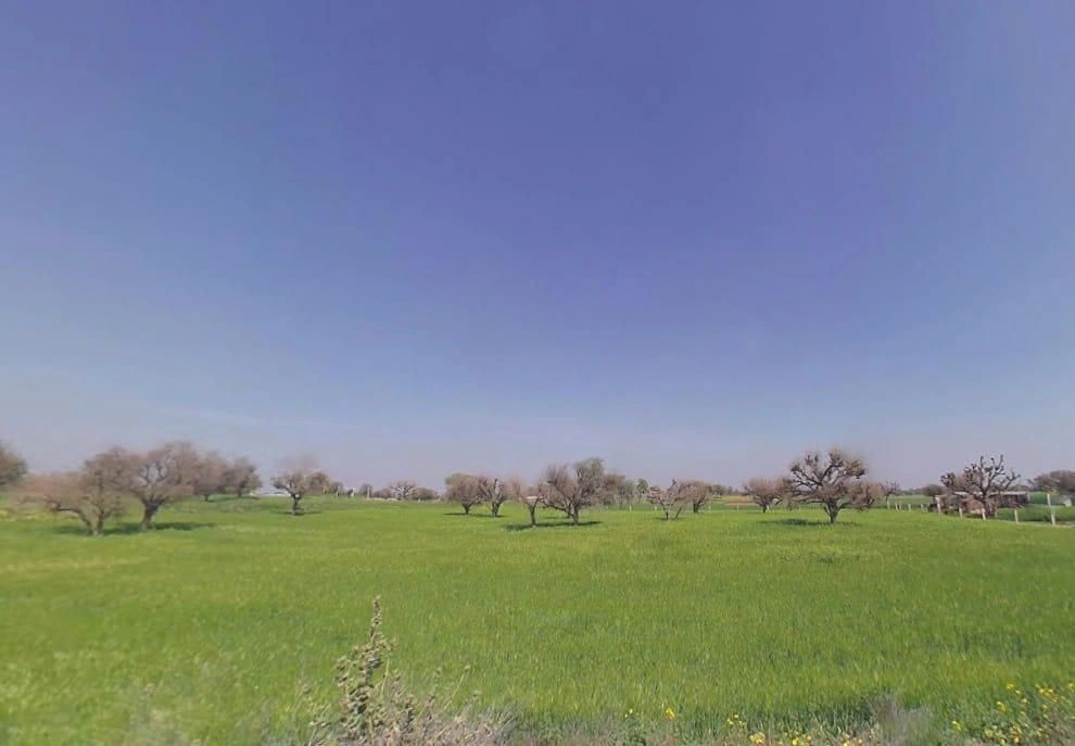 Aloda, Rajasthan 332602, India