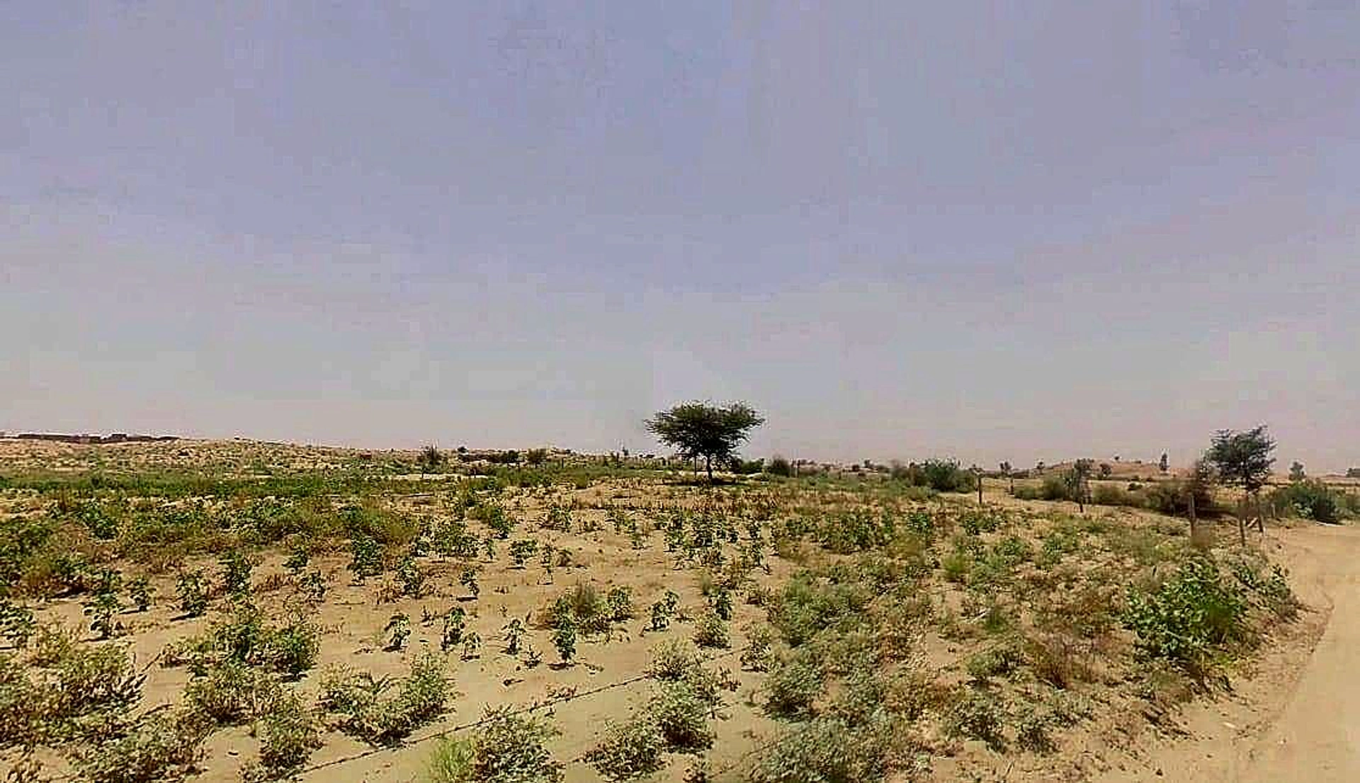 Suratgarh, Rajasthan 335804, India