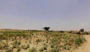 Suratgarh, Rajasthan 335804, India preview 3