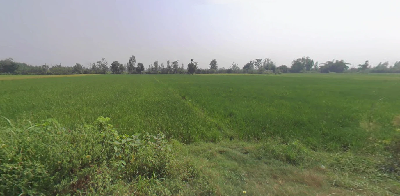 Rampur, Uttar Pradesh, India
