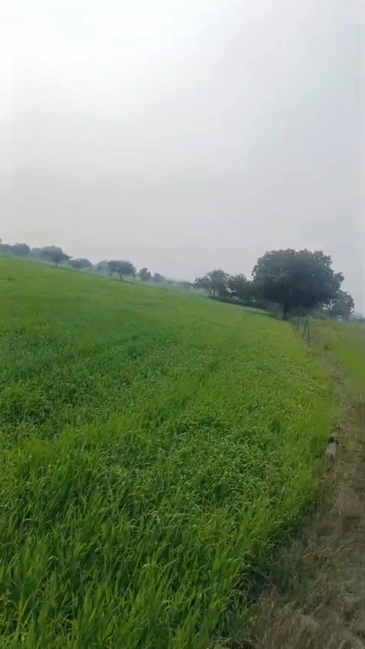 Shajapur, Madhya Pradesh 465001, India