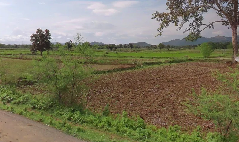 Ratanpur, Chhattisgarh 495442, India preview 3