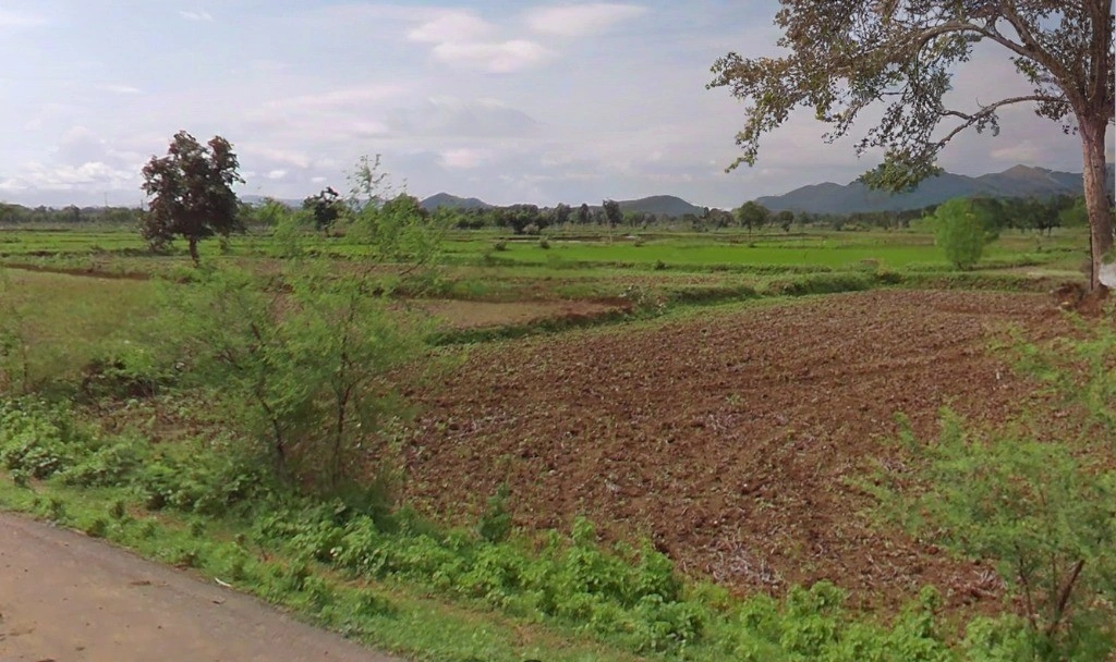 Ratanpur, Chhattisgarh 495442, India