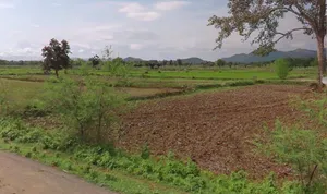 Ratanpur, Chhattisgarh 495442, India preview 3