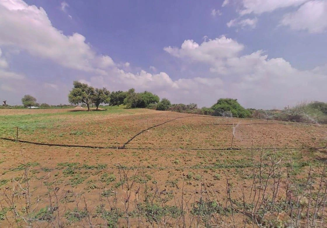 CQC2+HQ5, NH709, Peepli, Rajasthan 333031, India