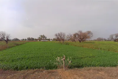 CWH5+8GJ, Ratawali, Rajasthan, India preview 3
