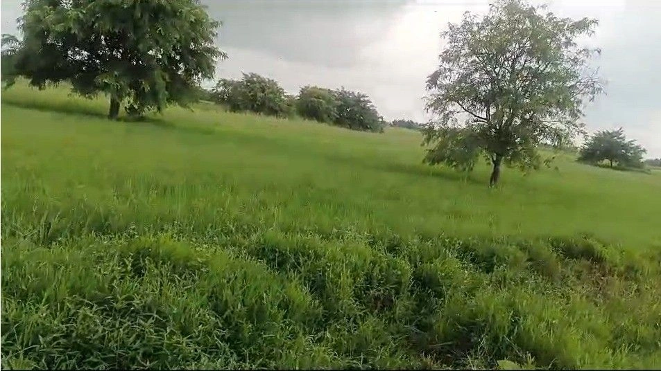 Hinoti Singorgarh, Madhya Pradesh 470880, India preview 2