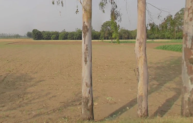 Jaisinghpur, Uttar Pradesh, India