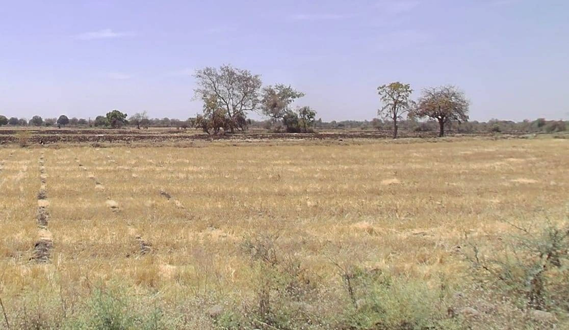 CMVW+GRV, Chorwasa, Madhya Pradesh 456443, India