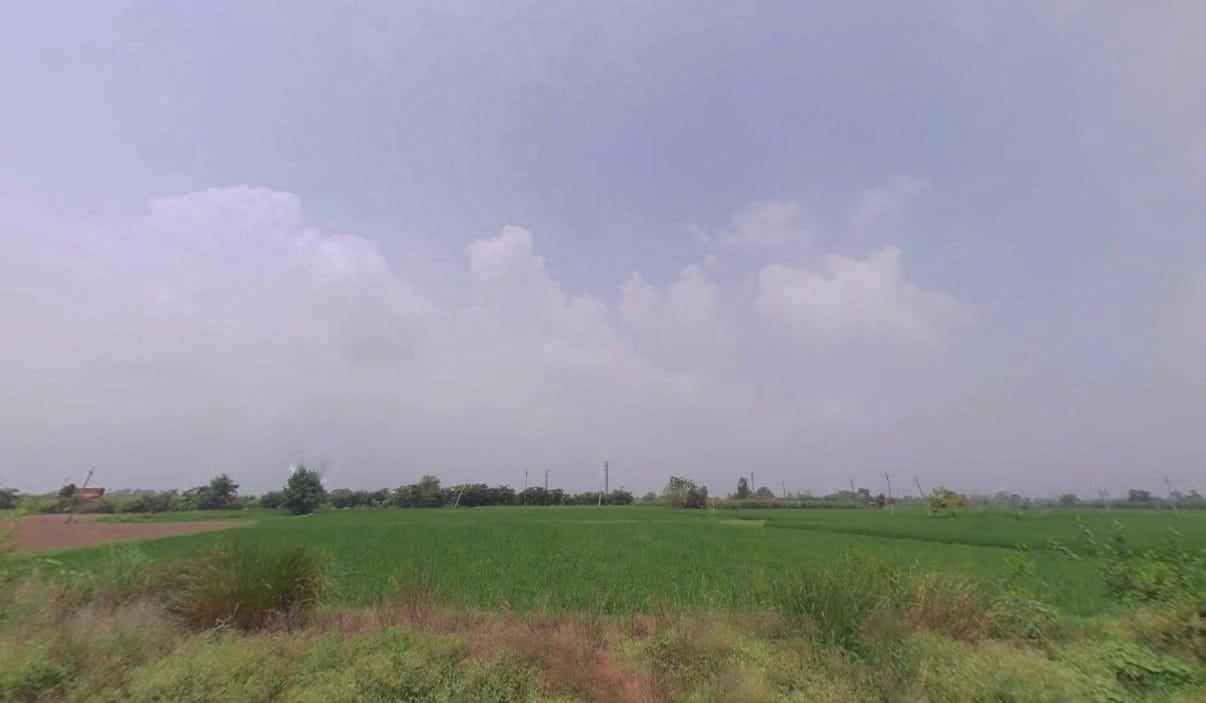 Shahzadpur, Haryana 134202, India