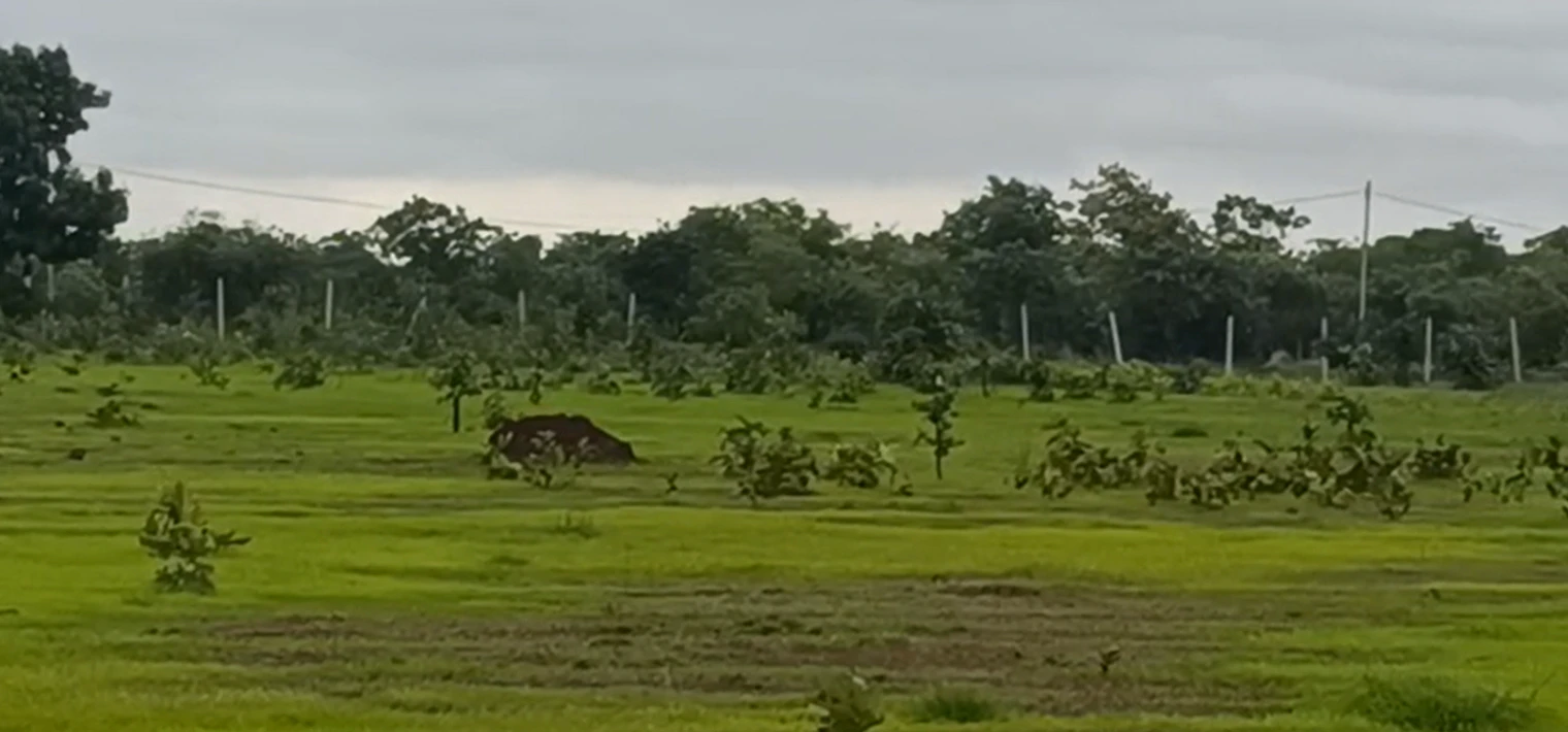FV2C+94 Durgamcheru, Vikarabad, Telangana, India