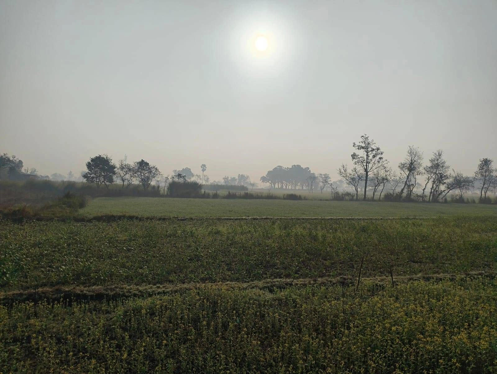 Chandrauta, Uttar Pradesh 274401, India
